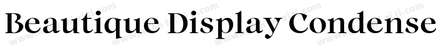 Beautique Display Condensed Medium字体转换